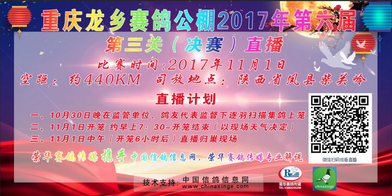 大方信鴿賽事直播2017，激情與技術(shù)的交匯盛宴