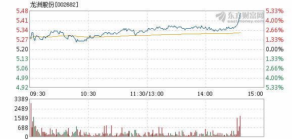 龍洲股份股票最新動態全面解讀