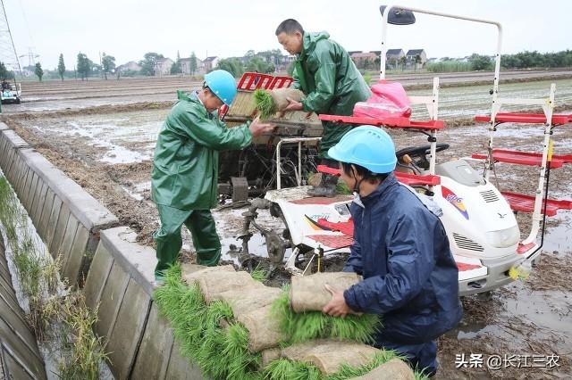 水稻直播機圖片與價格概覽