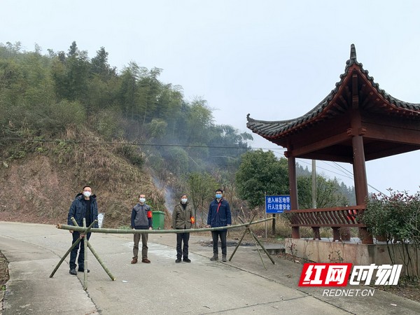 新邵縣坪上鎮最新項目，地區發展的強大引擎啟動