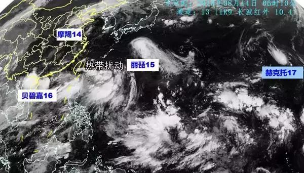 臺(tái)風(fēng)最新動(dòng)態(tài)報(bào)告，聚焦第16號(hào)臺(tái)風(fēng)動(dòng)向