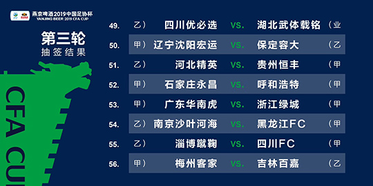 澳門三肖三碼精準100%黃大仙,效率資料解釋定義_手游版18.962