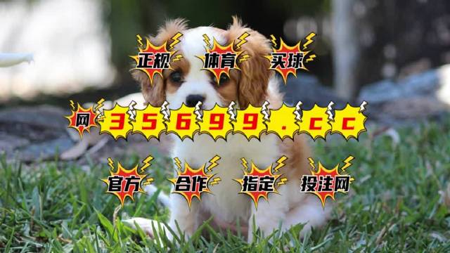 4949澳門特馬今晚開獎53期,最新正品解答落實_5DM88.251