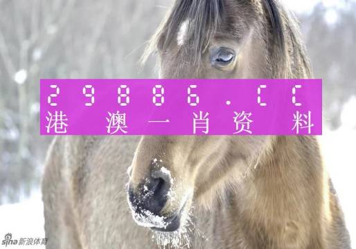 一肖一碼100-準(zhǔn)資料,經(jīng)典解釋落實(shí)_經(jīng)典款83.205