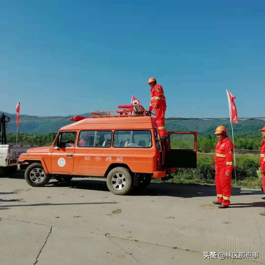 山河林業(yè)局新聞直播，綠色生態(tài)守護(hù)與智慧林業(yè)的革新之旅